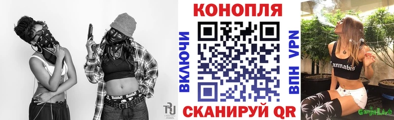 МАРИХУАНА OG Kush где найти Оса